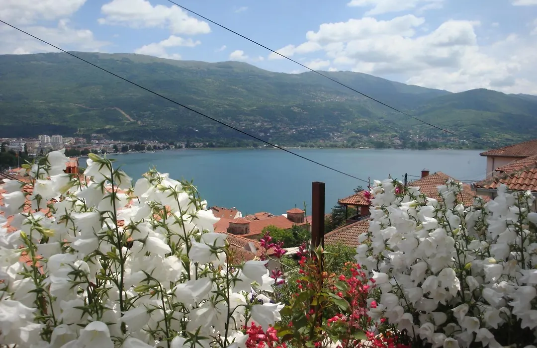 Apartments Villa Saray-1