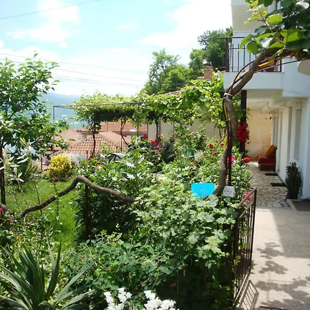 Apartments Villa Saray-2